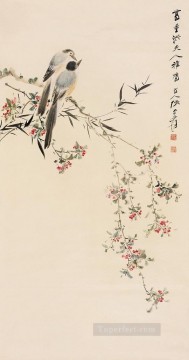 Chang dai chien birds on floral branches old China ink birds Oil Paintings